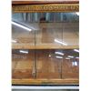 Image 3 : LARGER SIZE 21 X 38 DISPLAY CABINET, PAULIN CHAMBERS CO.