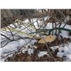 Image 2 : ONE HORSE PLOW