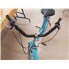 Image 4 : BRC VINTAGE BICYCLE