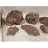 Image 2 : AMETHYST AND FOSSIL LOT