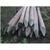 Image 2 : 17- 8' Treated Sharpened  Fence Posts (One money for All)