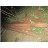 Image 1 : 9 Railay Track Rails 20' (One money for All)