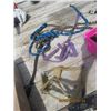 Image 2 : Hoof Trimmers, Grooming Brushes, 2 Halters, Lead Ropes, 2) Stirrups