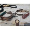 Image 3 : Hoof Trimmers, Grooming Brushes, 2 Halters, Lead Ropes, 2) Stirrups