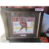 Image 1 : Mark Giordano Framed Autographed Picture