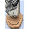 Image 3 : Three Scrimshaw Fossilized Ivory Pieces
