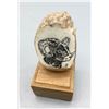 Image 5 : Three Scrimshaw Fossilized Ivory Pieces