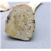 Image 10 : Three Fossilized Ivory Carvings