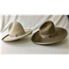 Image 4 : Two Early 1900s Stetson Hats