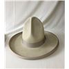 Image 7 : Two Early 1900s Stetson Hats