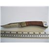 Image 1 : BUCK ANVIL CUSTOM 123/1000 KNIFE