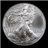 Image 2 : 2015 Silver Eagle Dollar $1 Grades Mint State