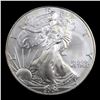 Image 2 : 2004 Silver Eagle Dollar $1 Grades Mint State