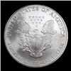 Image 3 : 2004 Silver Eagle Dollar $1 Grades Mint State