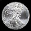Image 2 : 2016 Silver Eagle Dollar $1 Grades Mint State