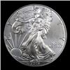 Image 2 : 2019 Silver Eagle Dollar $1 Grades Mint State