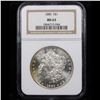 Image 2 : NGC 1885-p Morgan Dollar $1 Graded ms63 By NGC