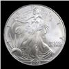 Image 2 : 2005 Silver Eagle Dollar $1 Grades Mint State