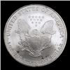 Image 3 : 2005 Silver Eagle Dollar $1 Grades Mint State