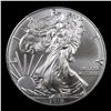 Image 2 : 2019 Silver Eagle Dollar $1 Grades Mint State
