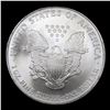 Image 3 : 2007 Silver Eagle Dollar $1 Grades Mint State