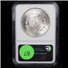 Image 3 : NGC 1885-p Morgan Dollar $1 Graded ms63 By NGC