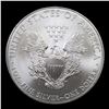 Image 3 : 2008 Silver Eagle Dollar $1 Grades Mint State