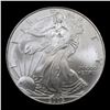 Image 2 : 2005 Silver Eagle Dollar $1 Grades Mint State