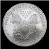 Image 3 : 2005 Silver Eagle Dollar $1 Grades Mint State