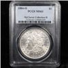 Image 6 : 5 Unc Morgan $1 Graded By PCGS Mixed Dates From The McClaren Collection Grades