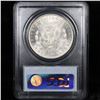 Image 7 : 5 Unc Morgan $1 Graded By PCGS Mixed Dates From The McClaren Collection Grades