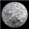 Image 2 : 2019 Silver Eagle Dollar $1 Grades Mint State