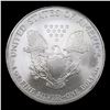 Image 3 : 2007 Silver Eagle Dollar $1 Grades Mint State