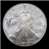 Image 2 : 2005 Silver Eagle Dollar $1 Grades Mint State