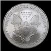 Image 3 : 2005 Silver Eagle Dollar $1 Grades Mint State