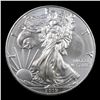 Image 2 : 2019 Silver Eagle Dollar $1 Grades Mint State