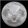 Image 3 : 2019 Silver Eagle Dollar $1 Grades Mint State