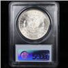 Image 5 : 5 Unc Morgan $1 Graded By PCGS Mixed Dates From The McClaren Collection Grades