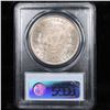 Image 9 : 5 Unc Morgan $1 Graded By PCGS Mixed Dates From The McClaren Collection Grades