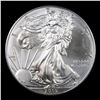 Image 2 : 2015 Silver Eagle Dollar $1 Grades Mint State