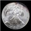 Image 2 : 2005 Silver Eagle Dollar $1 Grades Mint State