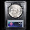 Image 9 : 5 Unc Morgan $1 Graded By PCGS Mixed Dates From The McClaren Collection Grades