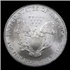 Image 3 : 2004 Silver Eagle Dollar $1 Grades Mint State