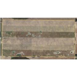 316 +/- Acres of Crop Land