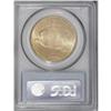 Image 4 : 1911 $20 MS65 PCGS. In his recent A Guide Book of Doub 