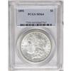 Image 1 : 1891 S$1 MS64 PCGS. Practically untoned and solidly st 