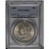 1899 S$1 MS64 PCGS. This near-Gem has pleasing gold-gr 