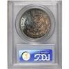Image 2 : 1921-D S$1 MS66 PCGS. A sliver of brilliance on each s 