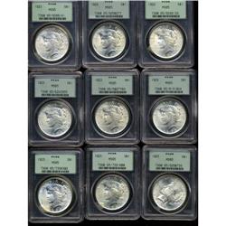1923 S$1 MS65 PCGS, nine examples, all graded MS65 by 