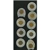 Image 2 : Encased Coin Group, this lot consists of 9 encased Ind 